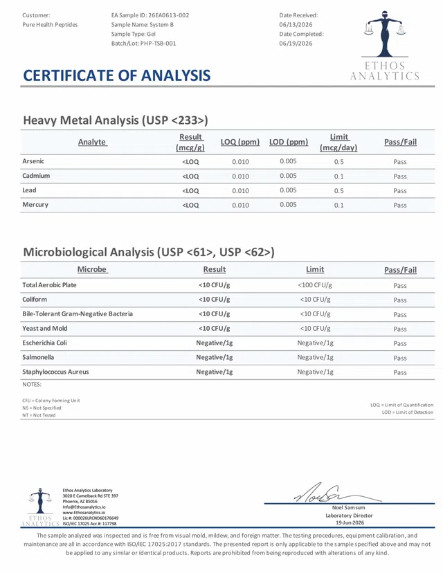 System B HW96 Page 2